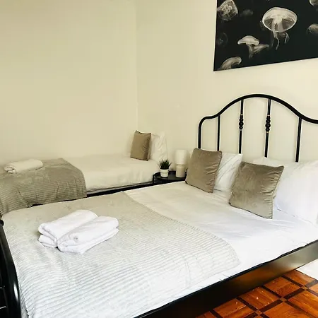 Hostel New Flat Da Horta, Location